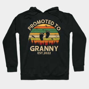 Promoted To Granny Est 2022 Pregnancy Announcement Vintage Hoodie